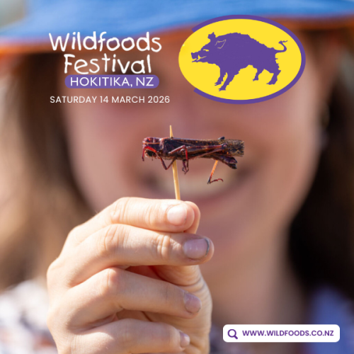 WFF 2025 NZMCA Ad (2)