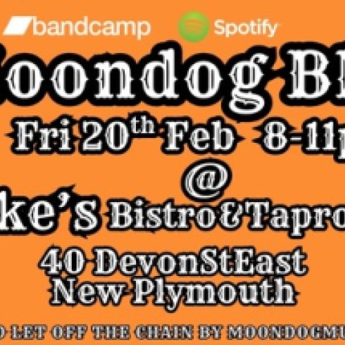 Mr Moondog Blues Live at Mike's Velvet Lounge