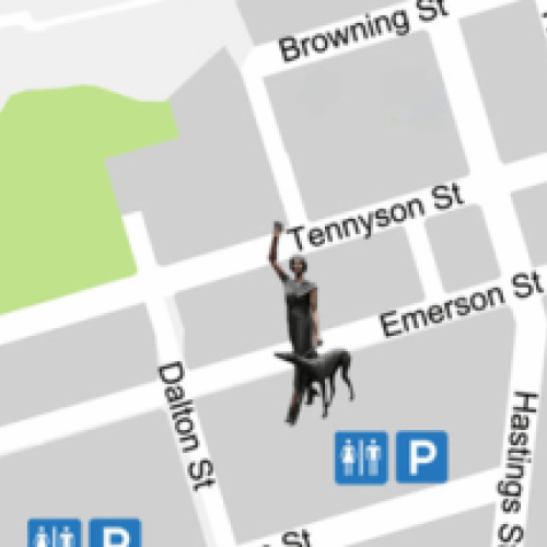 Napier's Amazing Race