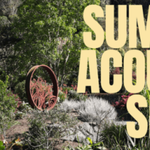 Summer Acoustic Series