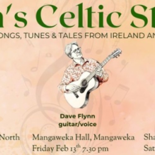 Flynn's Celtic Strings