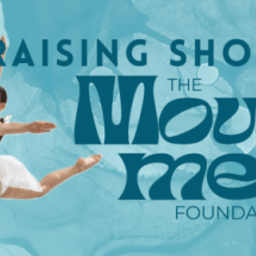 The Movement Foundation - Fundraising Showcase