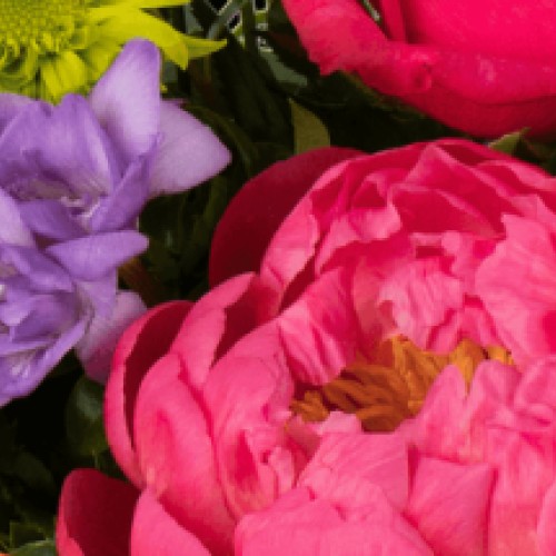 Woodville Horticultural Show